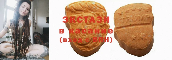 ECSTASY Горняк