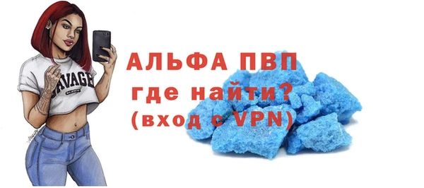ECSTASY Горняк