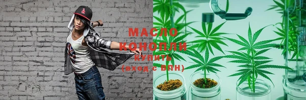 ECSTASY Горняк